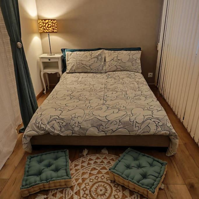 Superbe Cosy Duplex Appartement T3 Charpenne Tete D'Or Avec Parking Prive Gratuit 维勒班 外观 照片