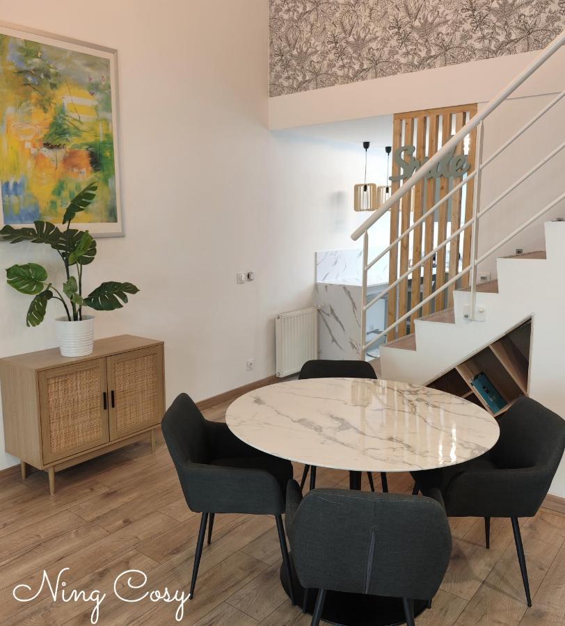 Superbe Cosy Duplex Appartement T3 Charpenne Tete D'Or Avec Parking Prive Gratuit 维勒班 外观 照片