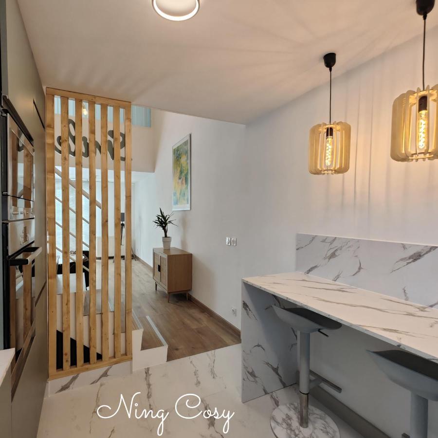Superbe Cosy Duplex Appartement T3 Charpenne Tete D'Or Avec Parking Prive Gratuit 维勒班 外观 照片